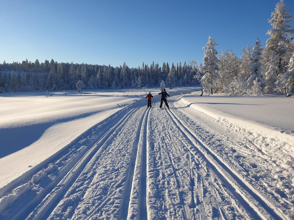 Solhytta Fantastisk Beliggenhet! Hytte Til Leie Pa Skrim! Kongsberg Buitenkant foto