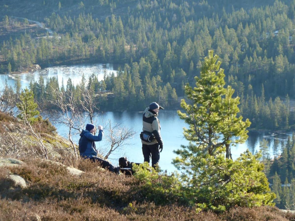 Solhytta Fantastisk Beliggenhet! Hytte Til Leie Pa Skrim! Kongsberg Buitenkant foto