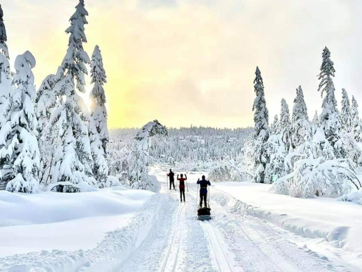 Solhytta Fantastisk Beliggenhet! Hytte Til Leie Pa Skrim! Kongsberg Buitenkant foto