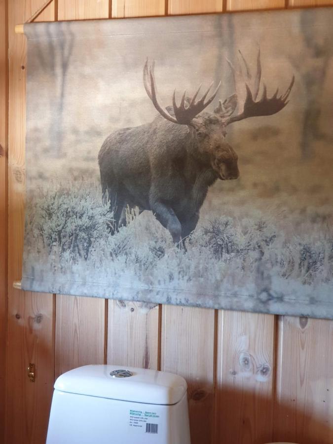 Solhytta Fantastisk Beliggenhet! Hytte Til Leie Pa Skrim! Kongsberg Buitenkant foto