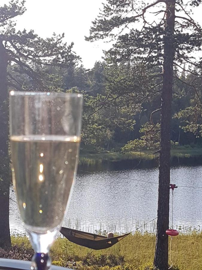 Solhytta Fantastisk Beliggenhet! Hytte Til Leie Pa Skrim! Kongsberg Buitenkant foto