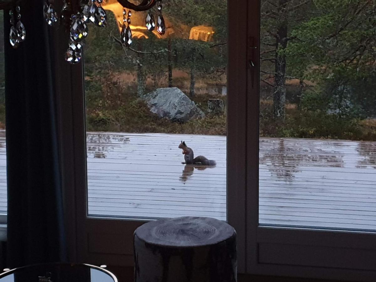Solhytta Fantastisk Beliggenhet! Hytte Til Leie Pa Skrim! Kongsberg Buitenkant foto