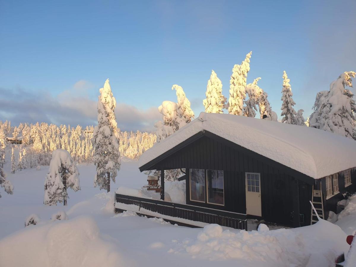 Solhytta Fantastisk Beliggenhet! Hytte Til Leie Pa Skrim! Kongsberg Buitenkant foto