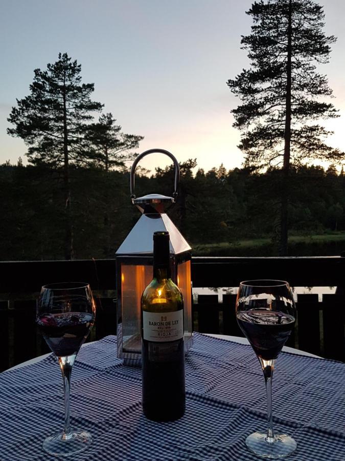 Solhytta Fantastisk Beliggenhet! Hytte Til Leie Pa Skrim! Kongsberg Buitenkant foto