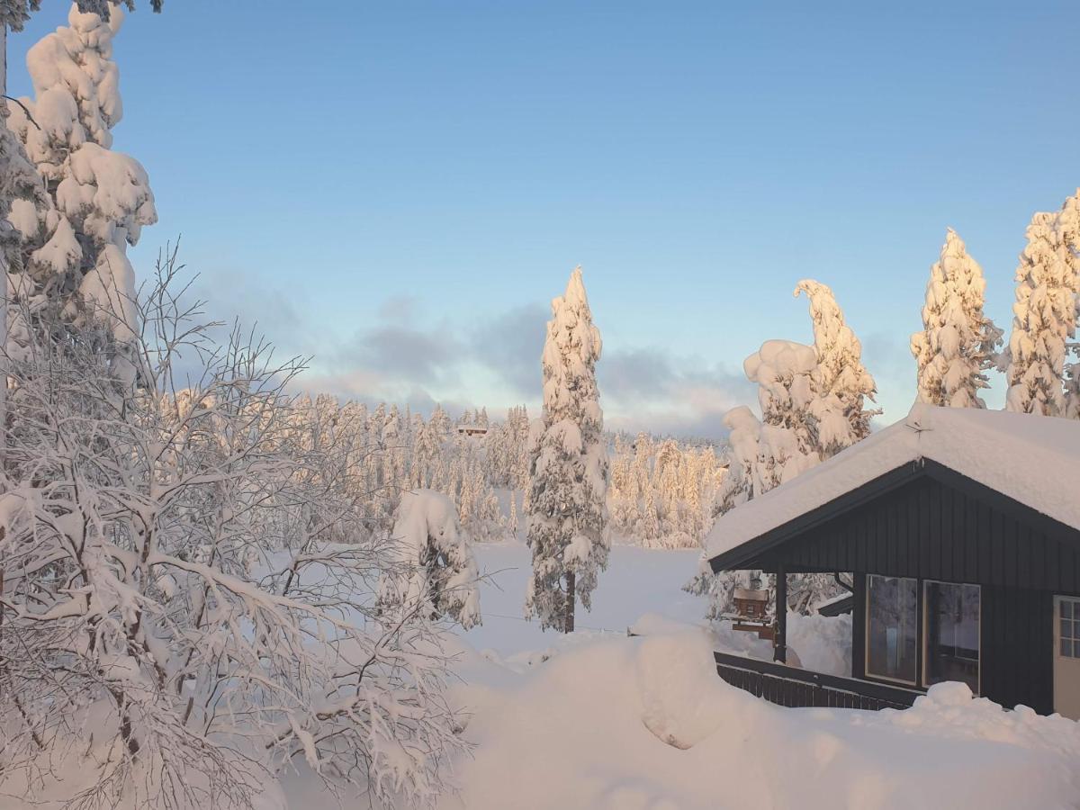 Solhytta Fantastisk Beliggenhet! Hytte Til Leie Pa Skrim! Kongsberg Buitenkant foto