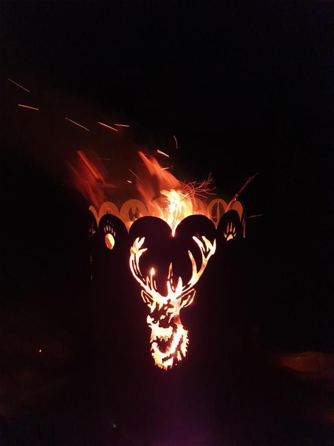 Solhytta Fantastisk Beliggenhet! Hytte Til Leie Pa Skrim! Kongsberg Buitenkant foto