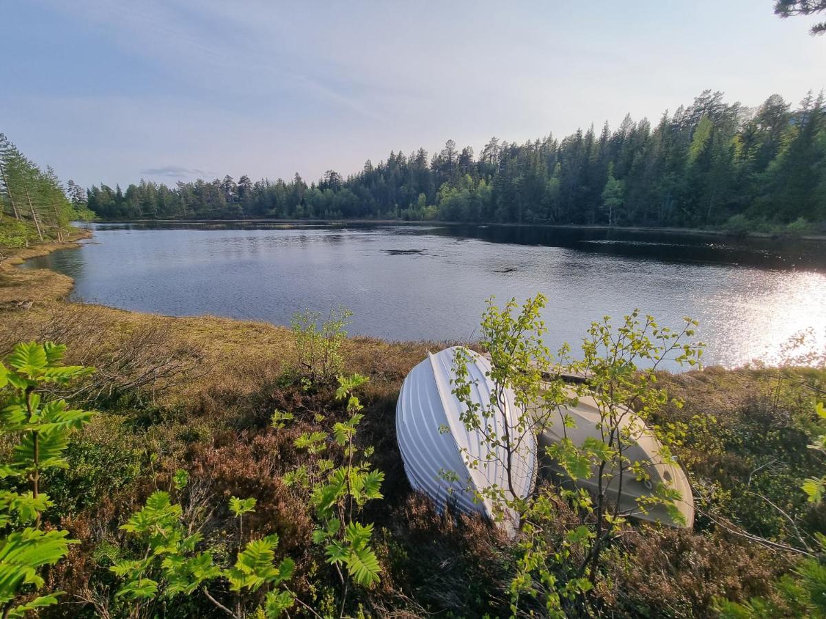 Solhytta Fantastisk Beliggenhet! Hytte Til Leie Pa Skrim! Kongsberg Buitenkant foto